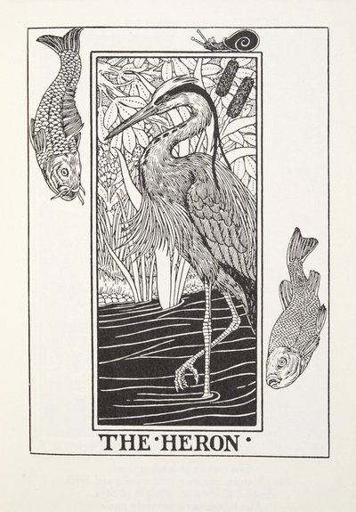 The Heron, from Fontaine Fables, pub. 1905 by Percy J. Billingshurst