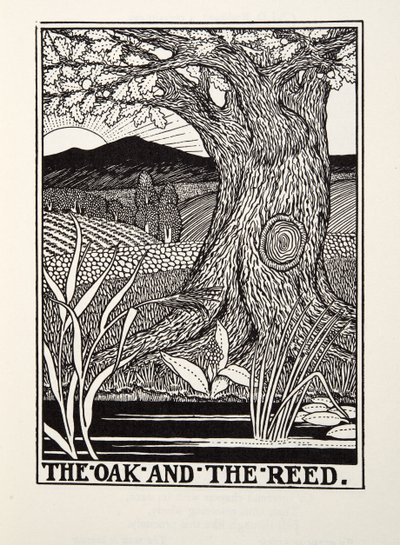The Oak and the Reed, from Fontaine Fables by Percy J. Billingshurst