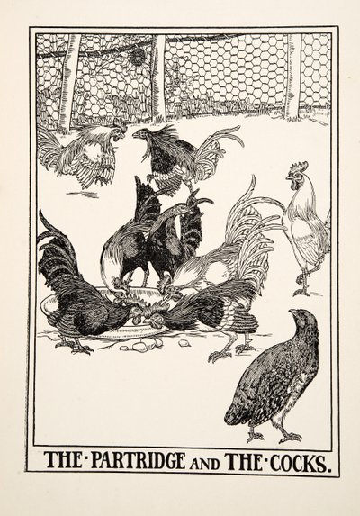 The Partridge and the Cocks, from A Hundred Fables of Aesop by Percy J. Billingshurst