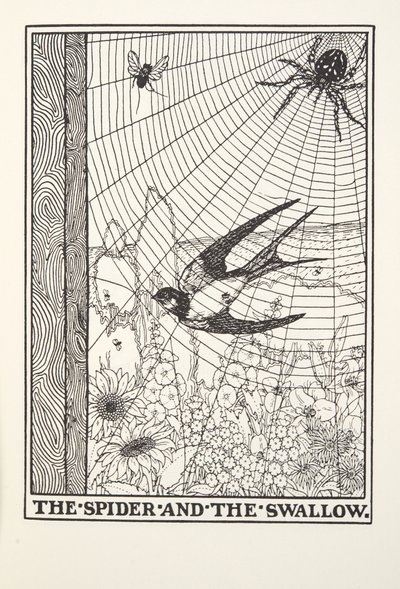 The Spider and the Swallow, from Fontaine Fables, pub. 1905 by Percy J. Billingshurst
