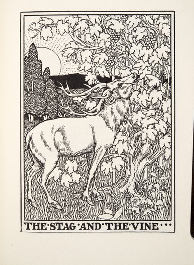 The Stag and the Vine, from Fontaine Fables, pub. 1905 by Percy J. Billingshurst