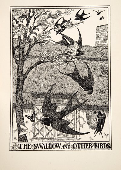 The Swallow and Other Birds, from A Hundred Fables of Aesop, pub.1903 by Percy J. Billingshurst