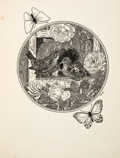 Wrens Learning to Sing by Percy J. Billingshurst