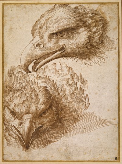 Studies of an Eagle