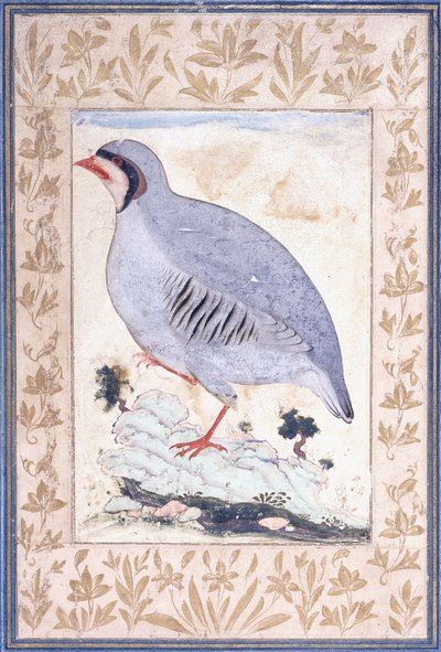 A Red-legged Partridge by Persian School
