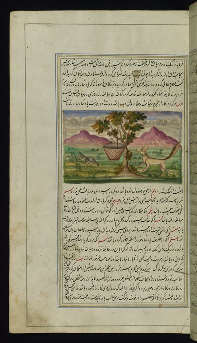 A Fox and a Drum from Lights of Canopus by Persian School