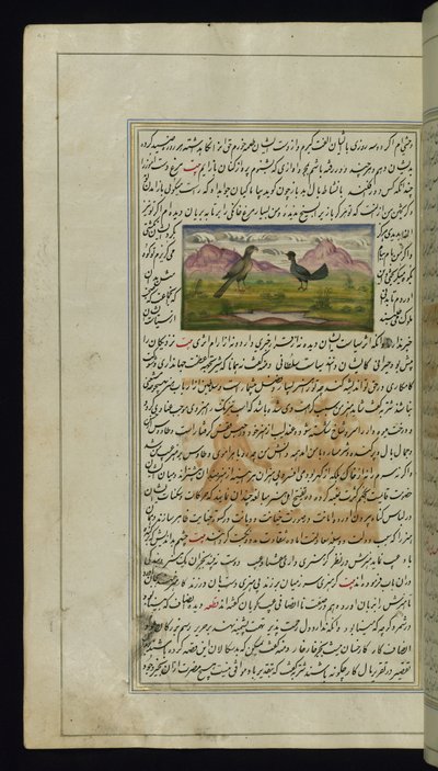 A Hawk and a Hen from Lights of Canopus by Persian School