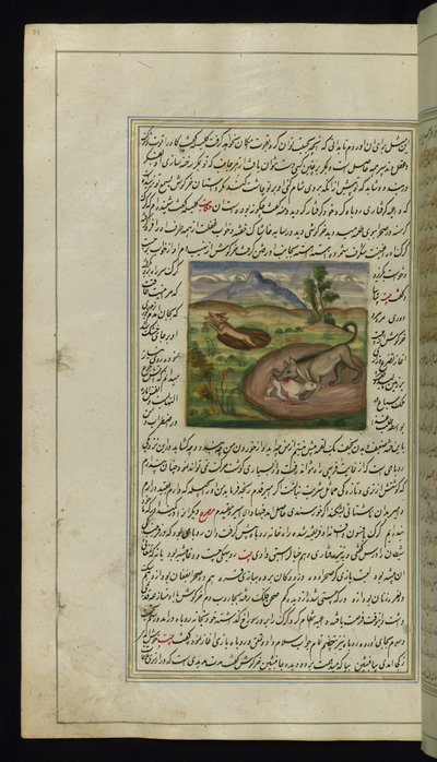 A Jackal Devours a Hare from Lights of Canopus by Persian School