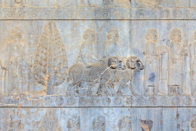 Bas Reliefs at the Walls of Apadana Palace and Staircase, Persepolis, Iran by Persian School