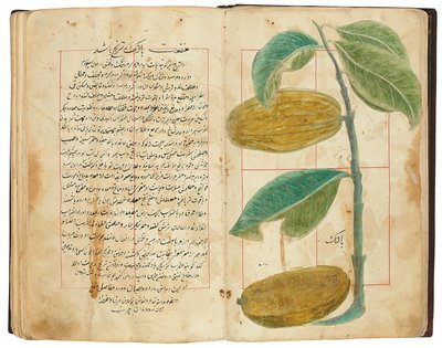 Hassan Bin Baqir Bin Jarrah: Gulzar Al-Rayahin, Qajar Iran by Persian School