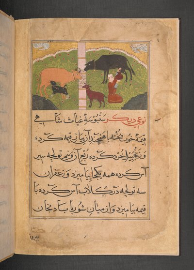 Illustration for milking from The Ni