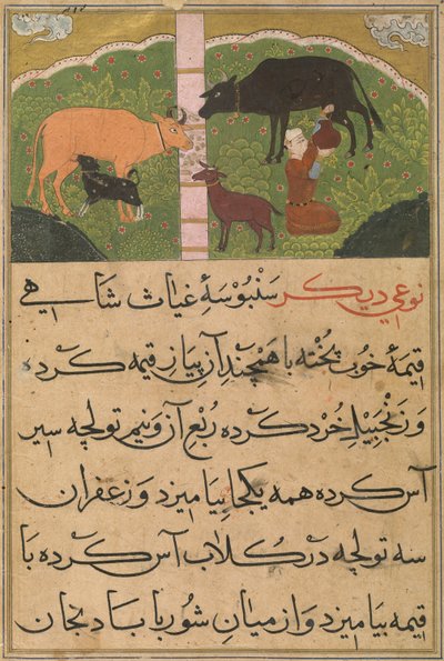Milking, from The Ni