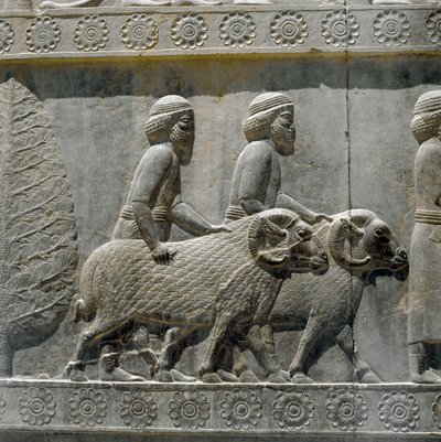 Sogdians Bring Gifts to Darius I. Reliefs of the Eastern Staircase of the Apadana by Persian School