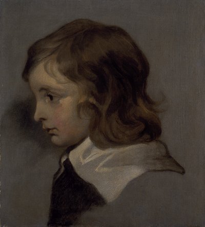 Head of a young boy by Peter (follower of) Lely