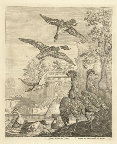 Ducks and Herons at a Bird Pond by Peter Casteels (III)