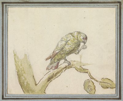 Parrot on a Tree Branch by Peter Casteels (III)