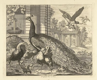 Peacock and Turkey by a Garden Colonnade by Peter Casteels (III)