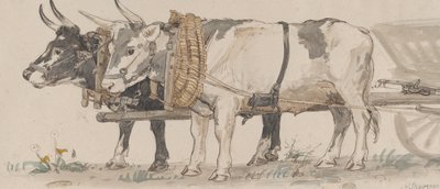 Two Oxen Pulling a Cart by Peter Christian Thamsen Skovgaard