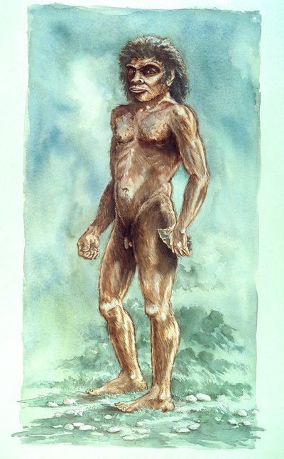 Boxgrove Man, Prehistoric, 1990-2010 by Peter Dunn