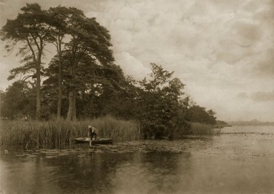 The Haunt of the Pike, c.1886 by Peter Emerson und Thomas Goodall