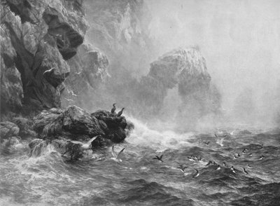 Where Nought Is Heard But Lashing Wave And Sea-Birds Cry by Peter Graham
