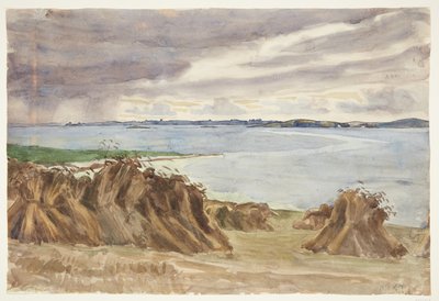 Rug in Trotter. Katterød Rev. In the Background Bjørnø by Peter Hansen