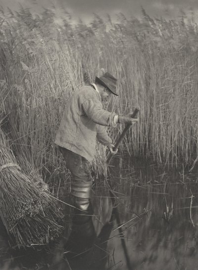A Reed-Cutter at Work, 1886 by Peter Henry Emerson, Thomas Frederick Goodall