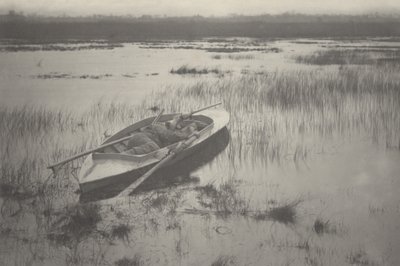 Gunner Working Up to Fowl by Peter Henry Emerson, Thomas Frederick Goodall