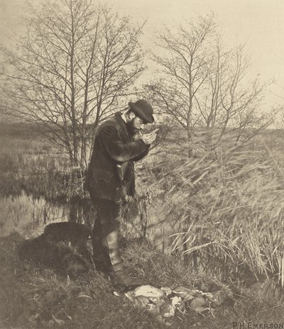 At the Covert Corner. Norfolk by Peter Henry Emerson