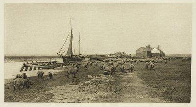 Blackshore, River Blythe (Suffolk) by Peter Henry Emerson