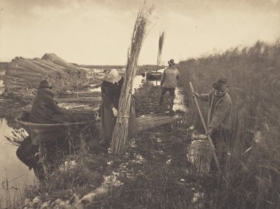 During the Reed-Harvest by Peter Henry Emerson