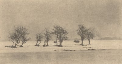 Gnarled-Thorn Trees by Peter Henry Emerson