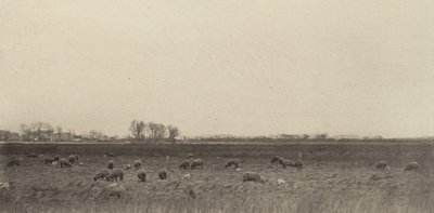 Marshes by the North Sea, 1890-1891, printed 1893 by Peter Henry Emerson