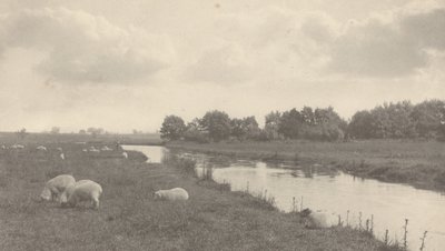 On the River Bure by Peter Henry Emerson
