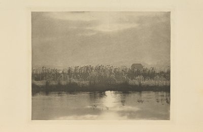 Rime Crystals by Peter Henry Emerson