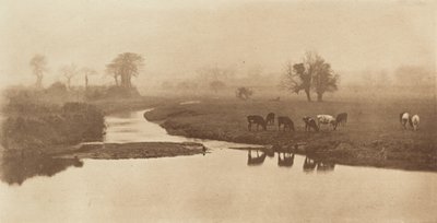 Sheep on the Marshes by Peter Henry Emerson