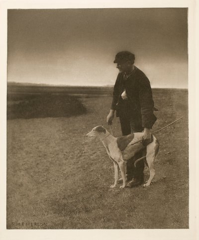 The Poacher - A Hare in View by Peter Henry Emerson