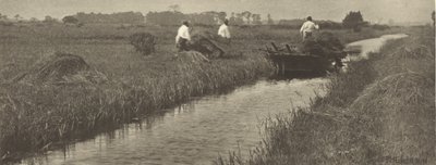 The Sedge Harvest by Peter Henry Emerson