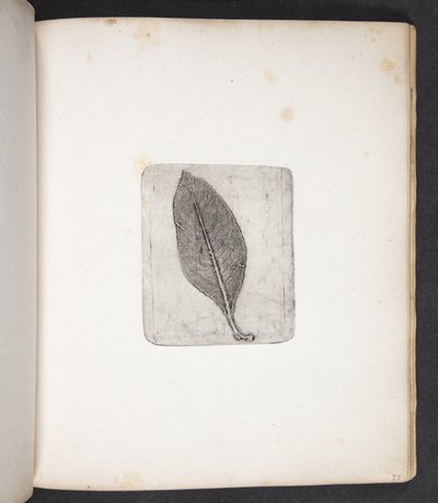 Imprint of Leaf by Peter Larsen Kyhl