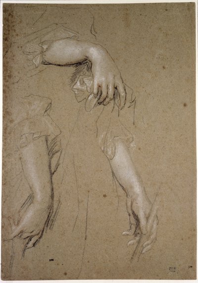 Studies of Hands by Peter Lely