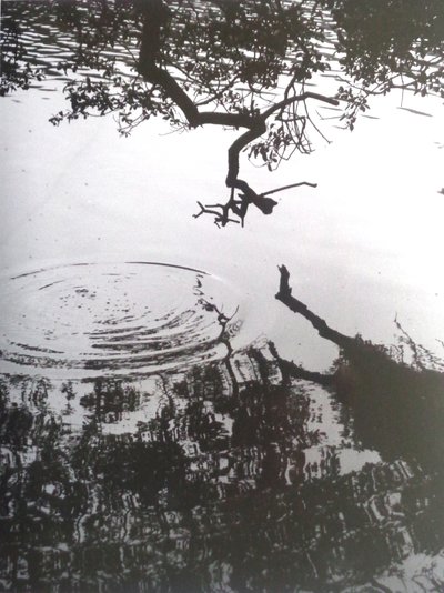 Vintage B&W Photo No.5, 1986 by Peter McClure