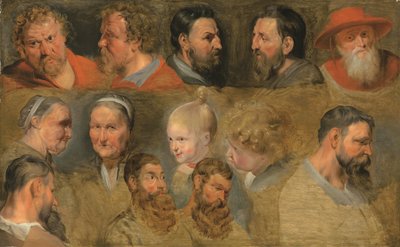 Head Studies by Peter Paul (circle of) Rubens