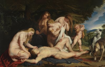 The Death of Adonis (Venus Mourning Adonis) by Peter Paul Rubens
