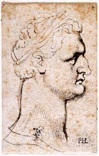 Domitian, from Ten Drawings of Eight of the First Twelve Caesars by Peter Paul Rubens