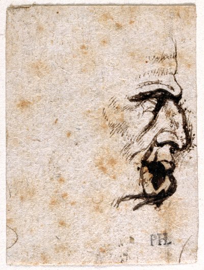 Galba, from Ten Drawings of Eight of the First Twelve Caesars by Peter Paul Rubens