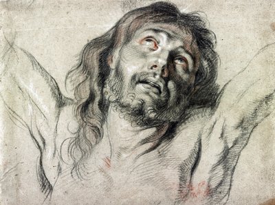 Head of Christ on the cross by Peter Paul Rubens by Peter Paul Rubens