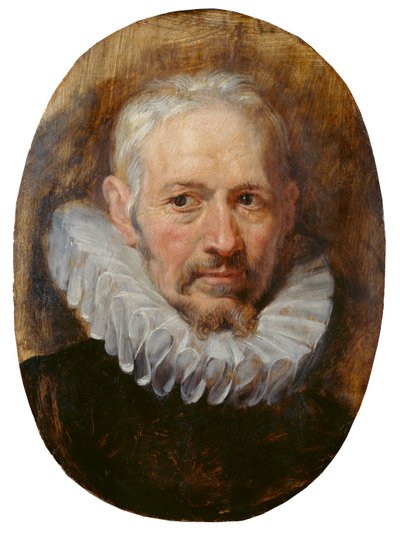 Head of an Old Man by Peter Paul Rubens