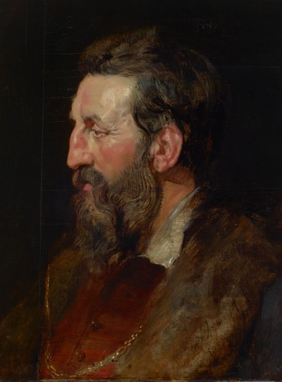 Portrait of a Man, c.1615 by Peter Paul Rubens