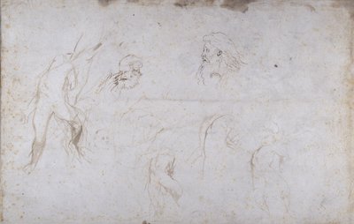 Studies of a Male Figure Tied to a Tree and of Two Male Heads by Peter Paul Rubens