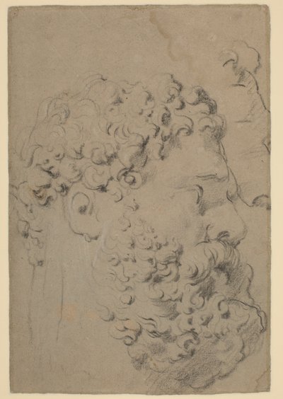 Studies of the Head and Profile of the Farnese Hercules Seen from a Lower Viewpoint by Peter Paul Rubens